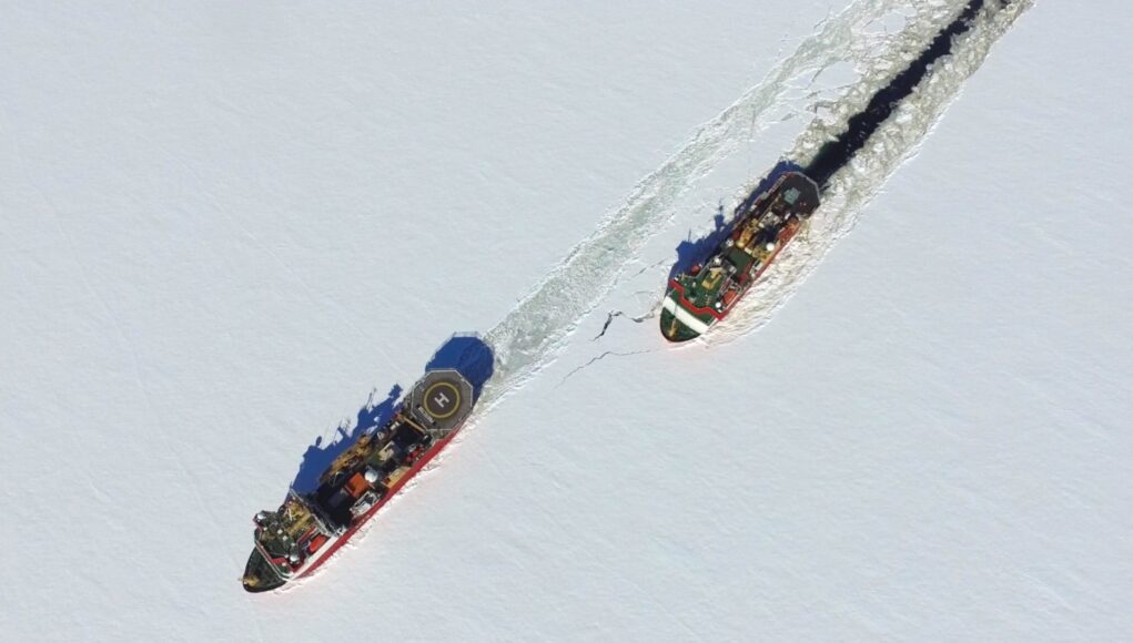 Shack_and_Protector_31