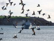 British flagship returns home