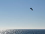 Spanish Harrier jets ‘attack’ NATO warships
