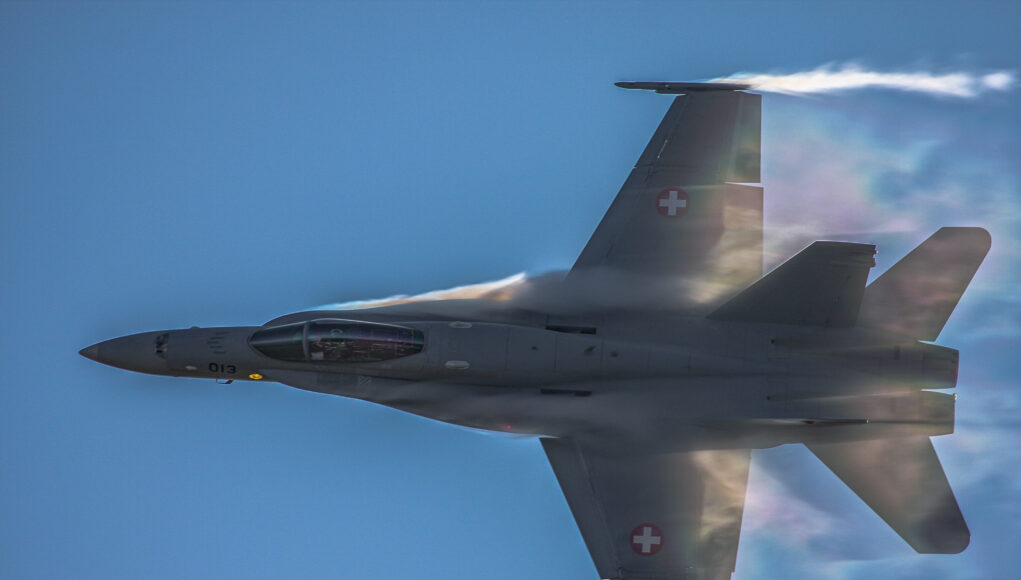 swisshornetdisplaybild02