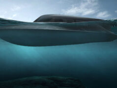 Penny Mordaunt appointed chair of SubSea Craft Subsea-Craft-VICTA-Class-Diver-Delivery-Unit-Featured-image-1568x882.jpg