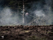 MOD awards contract to Leonardo for APS update