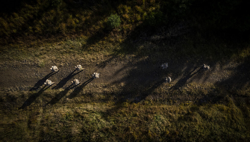 apowmid-official-20221007-064-172-2