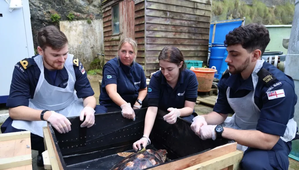 FRPUW-20240916-XQ0064-0014