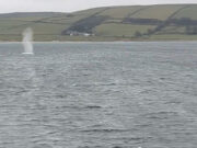 Mine hunter carries out explosive mine warfare drills