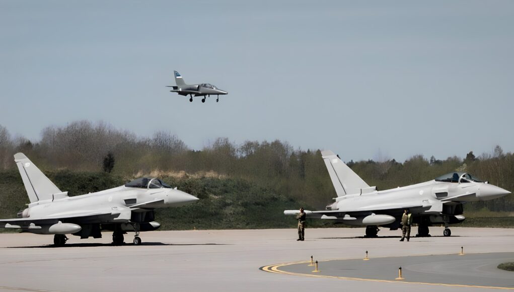 hedgehog-2-mFtkK2.remini-enhanced