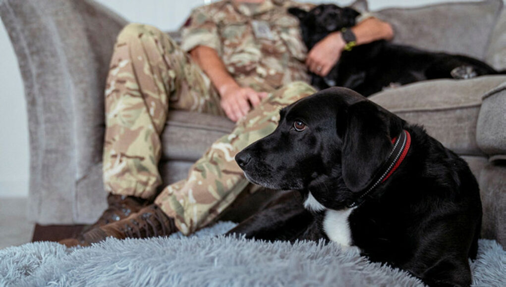 DIO-29072025-DSC09017.jpg.tif9_6r1MUVTKetjQA0A.dvsGpO7n1u