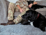 New rules give forces families more freedom at home