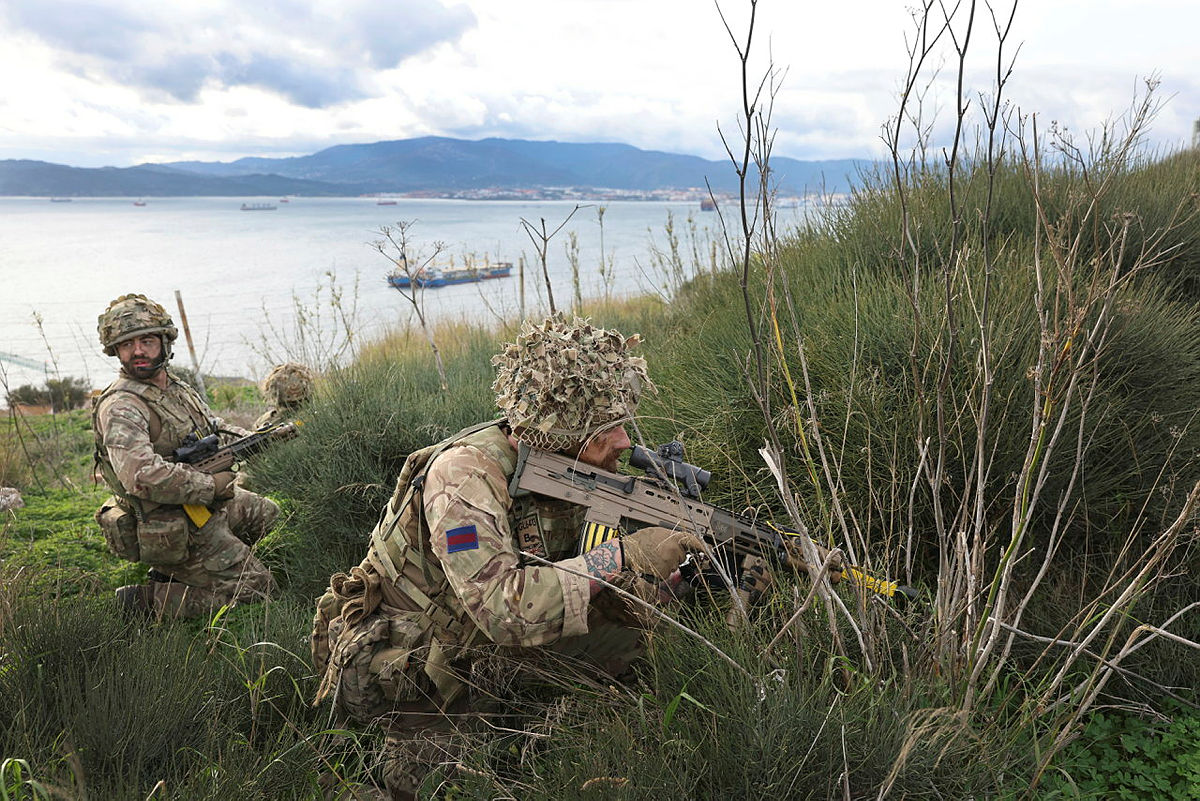 Britain should double its reserve forces
