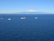 NATO concludes major submarine warfare exercise