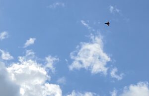 Small orange delta-wing aircraft flying through a clear blue sky with a few clouds (distant plane).