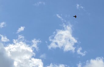 Small orange delta-wing aircraft flying through a clear blue sky with a few clouds (distant plane).