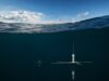 Ultra Maritime trials next-gen sub-hunting sonobuoy in UK Underwater research mooring: a vertical instrument with cross-shaped sensor hanging from a line beneath the surface of dark blue water.