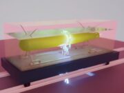 QinetiQ boosts UK mine-hunting drone testing at Portland Abstract yellow sculpture under a glass cover on a dark pedestal in a gallery.