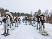 UK forces to deploy to Jan Mayen for Arctic operation