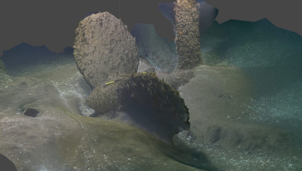 Dan McMullen_ Guy Trees credit_ starboard prop 3 Underwater rocky seabed with two tall, algae-covered pillars and a curved trench in sandy, dim water.