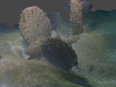 Underwater rocky seabed with two tall, algae-covered pillars and a curved trench in sandy, dim water.