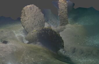 Underwater rocky seabed with two tall, algae-covered pillars and a curved trench in sandy, dim water.