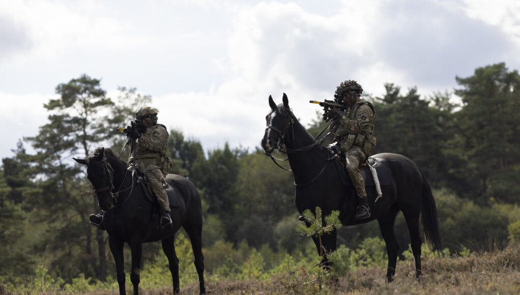 The Household Cavalry Mounted Combat