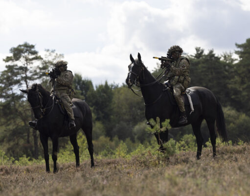 Military horses could carry loads in the field again